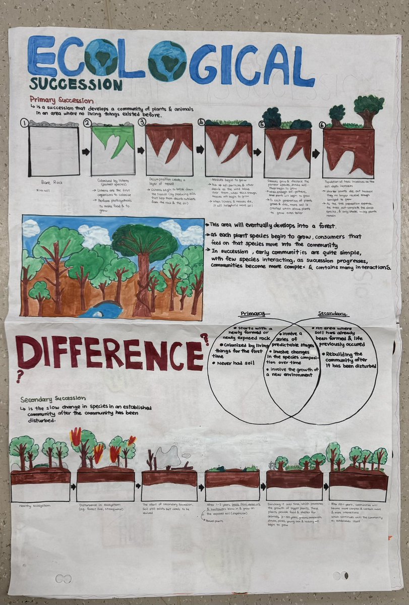 ms_storto's tweet photo. Grade 7s creatively summarized and explained what they learned about Primary and Secondary Succession!👩🏼‍🔬🌳🌿🍂🐰🐿️🦊 https://t.co/FkvyaVXJA4