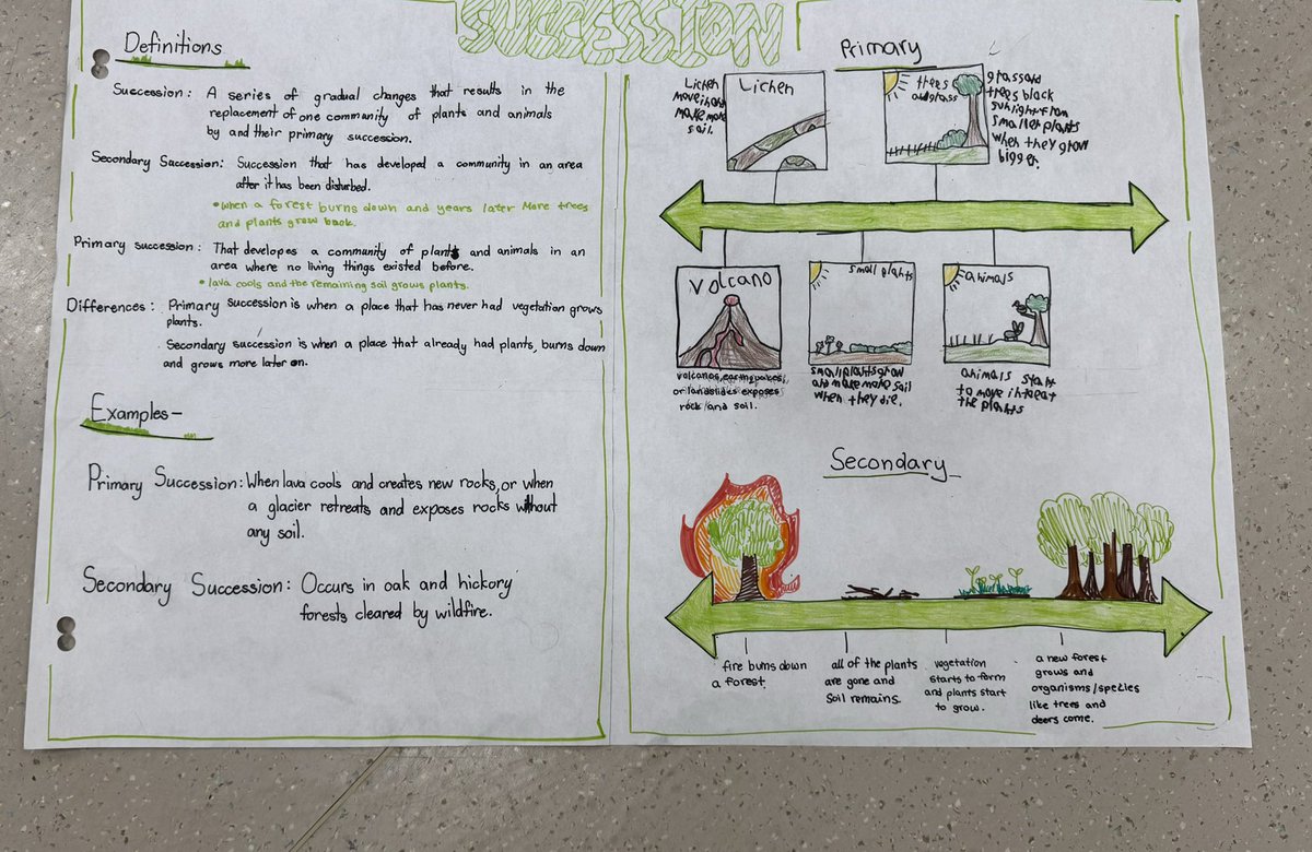 ms_storto's tweet photo. Grade 7s creatively summarized and explained what they learned about Primary and Secondary Succession!👩🏼‍🔬🌳🌿🍂🐰🐿️🦊 https://t.co/FkvyaVXJA4