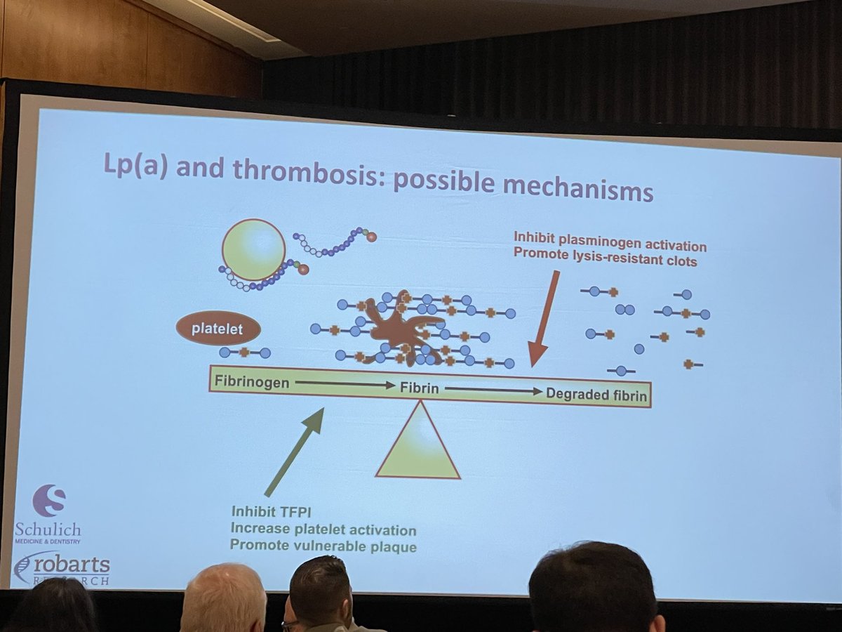 Hilly Paige Jr tweet media