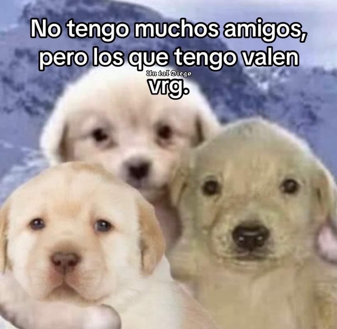 ElJeringasLoko's tweet photo. los quiero https://t.co/J6ckHrFKOF