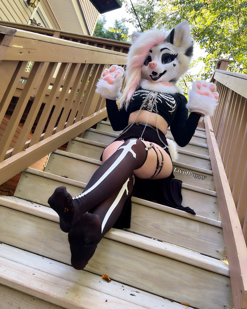 Who ordered a woof waifu? 💅💘

🪡: <a href="/Glitzy_Fox/">Glitzy Fox / GF Studios 🎀</a> 
#furry #puppygirl #fursuit