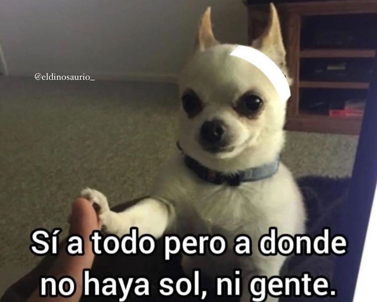 soyMargarlto's tweet photo. La neta https://t.co/NrzMrwhhp9