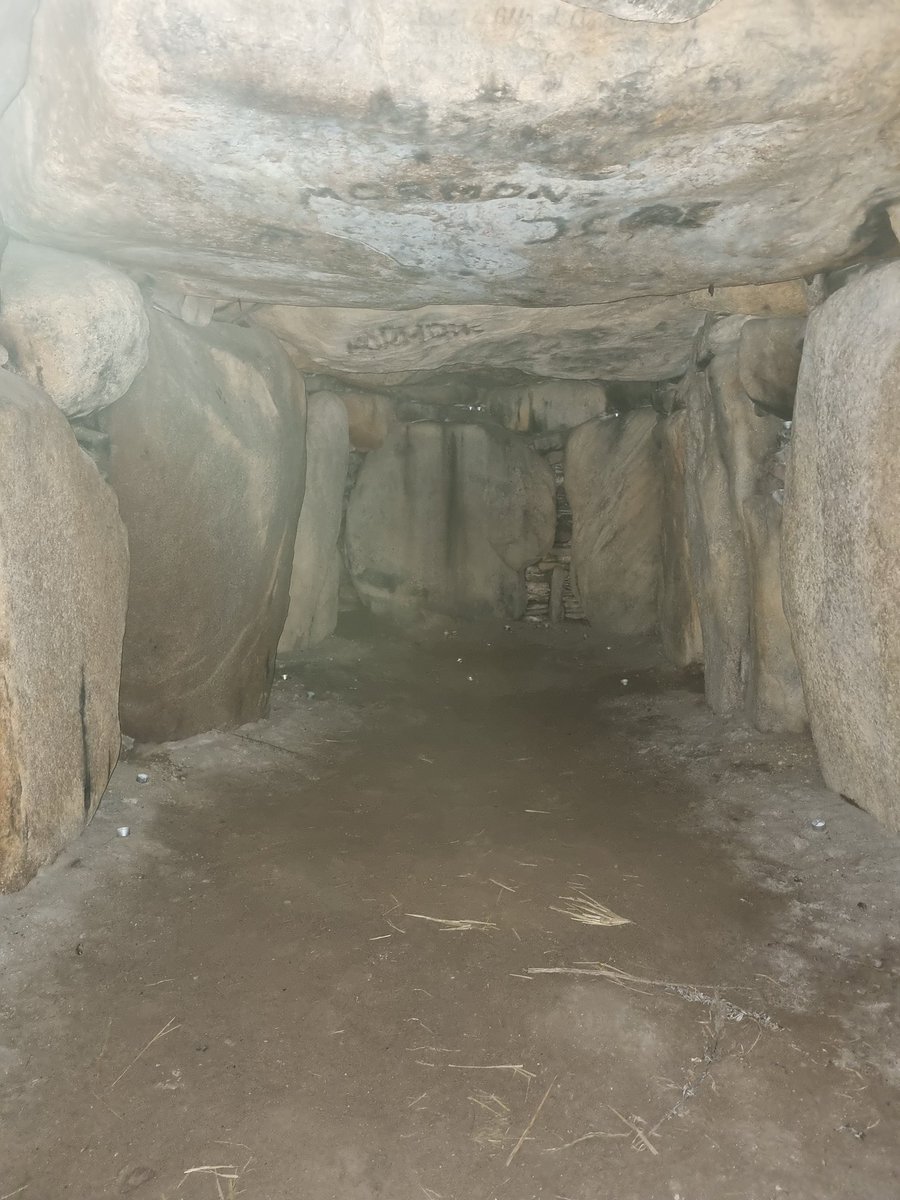 PoofyWithPie's tweet photo. More photos of Mårhøj From the inside.

#photography #mårhøj #megalith https://t.co/roNN5TEewF