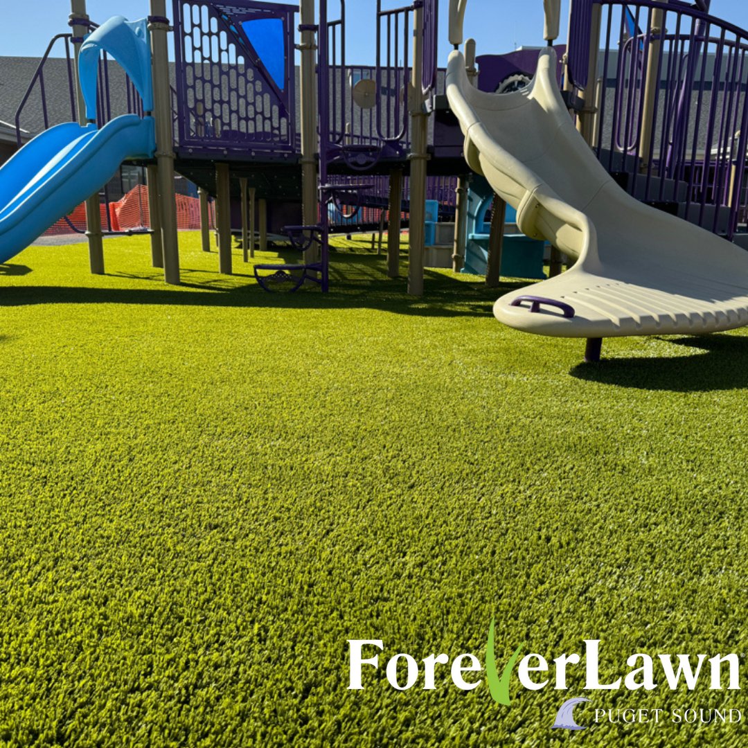From slides to swings, ForeverLawn Playground Grass keeps the fun flowing, with comfort and safety every step of the way! 🌟💚 <a href="/NPEI/">Northwest Playground</a>