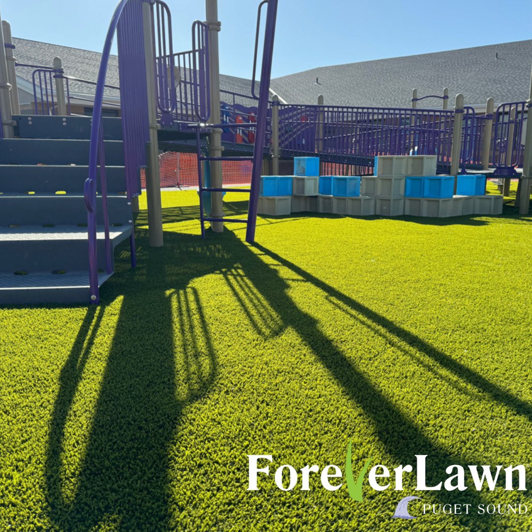 ForeverLawn Puget Sound tweet media