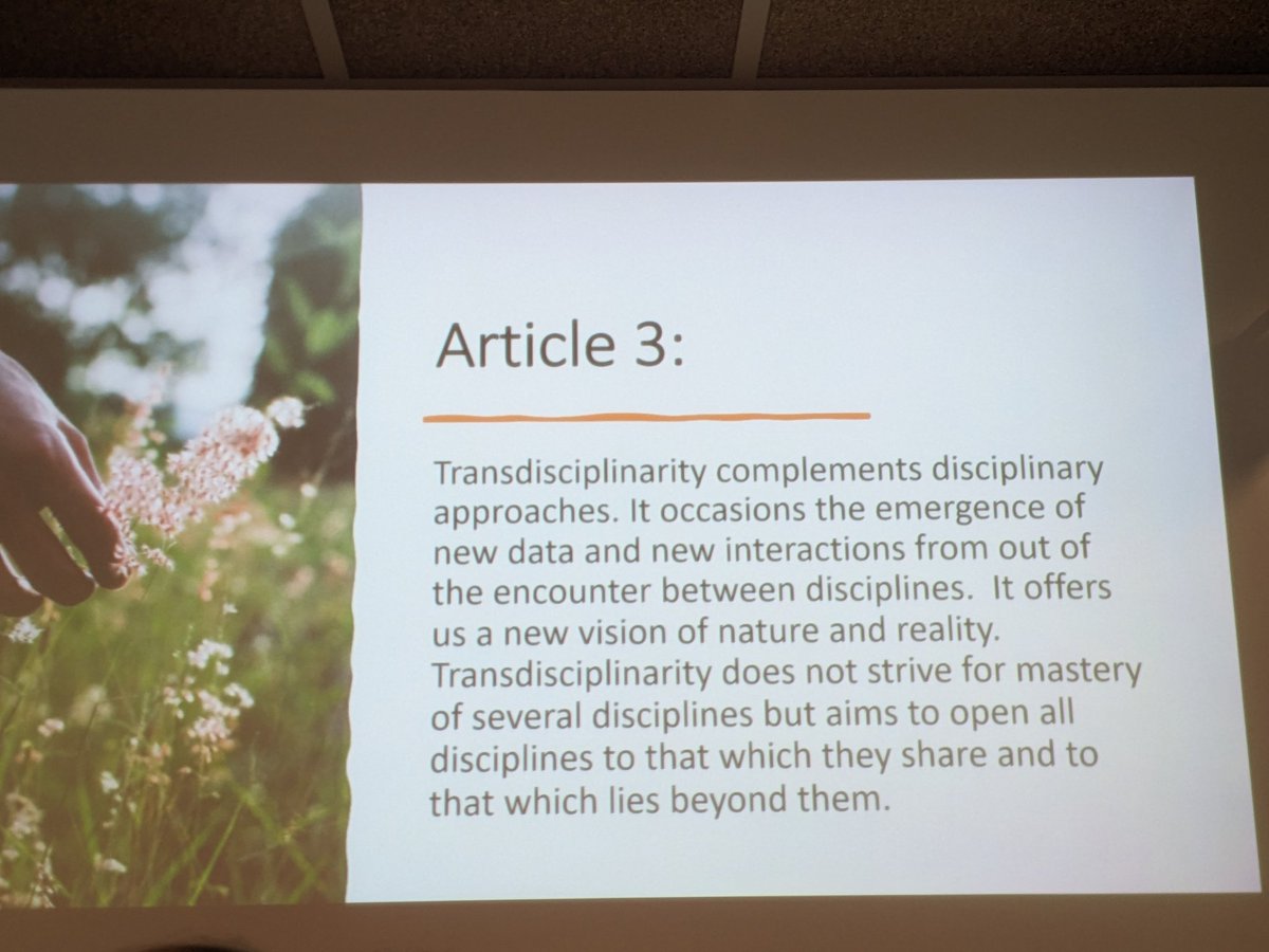 Monash European Languages and Cultures tweet media