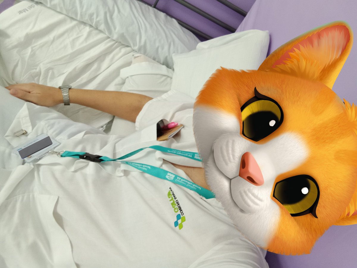 Alejop😺 🏒🦆 tweet media