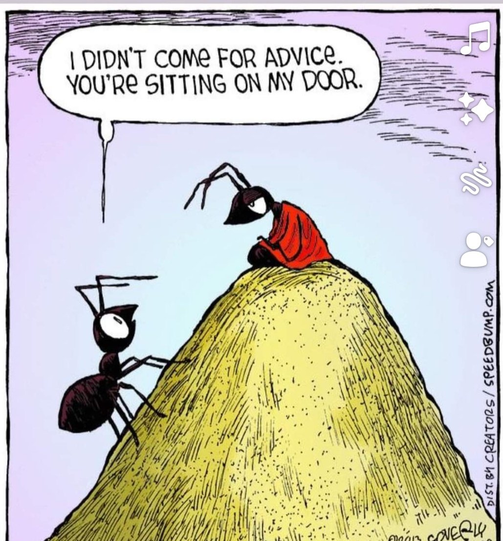 Sir, excuse me but... 😂 😂
.
.
#mykindofguy #practical #grounded #DontBeSilent #smile #enjoylife #humorsaveslifes