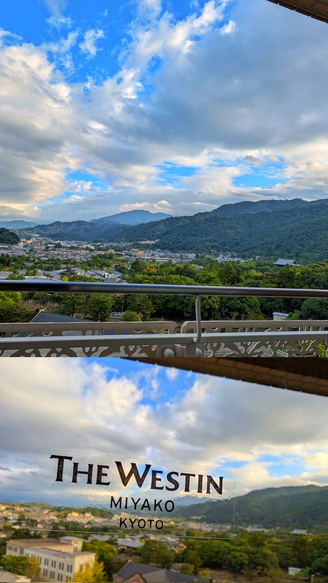 Not a bad way to start the work day this week 🇯🇵