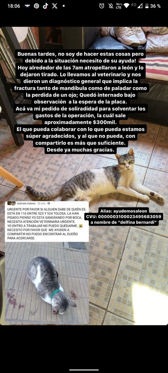 𝕯𝖊𝖑𝖋𝖎𝖓𝖆 (@delfibernardii) on Twitter photo 