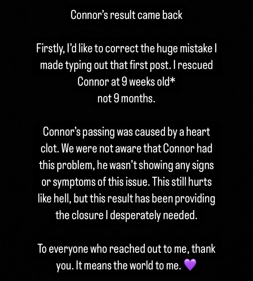 Liam 🐺💚🐱 tweet media