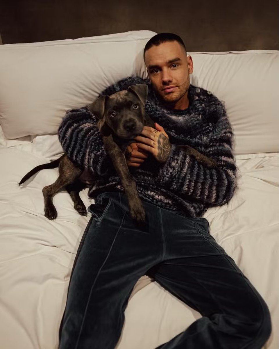 mickeyatnight's tweet photo. 💔 may our minds be full of happy memories and our hearts overwhelmed with both the love given and received. rip liam you will be missed. https://t.co/4lnc276dHE