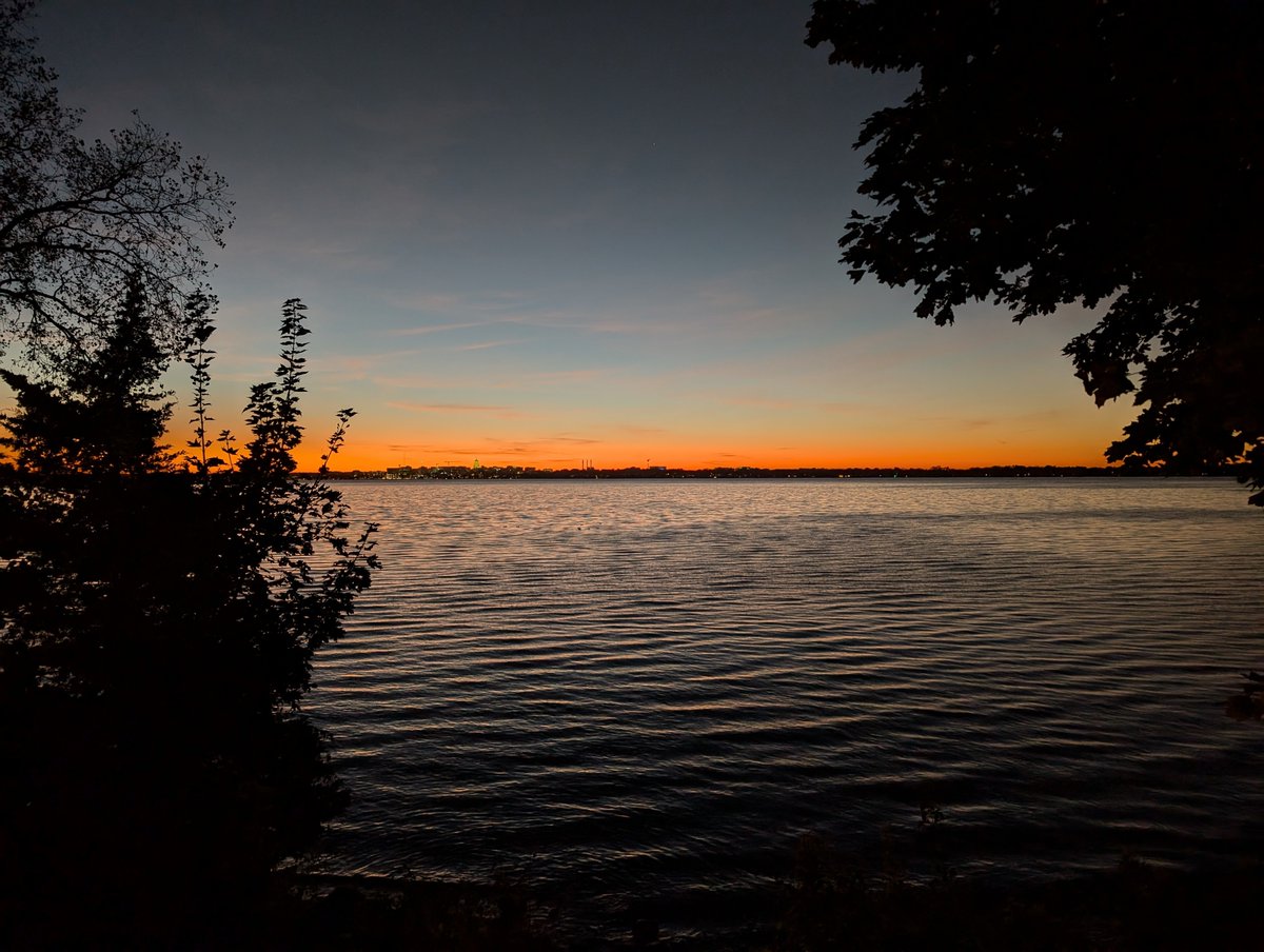 Gentle Brontosaurus 🦕 tweet media