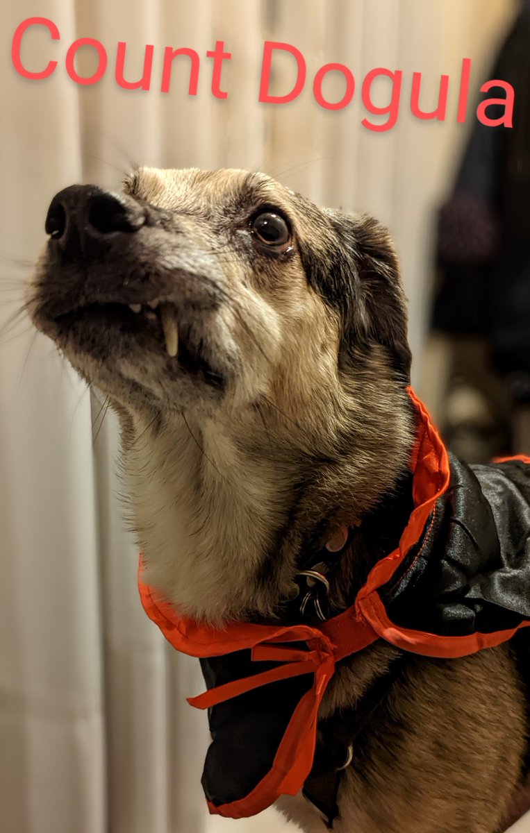 Al Boley tweet media