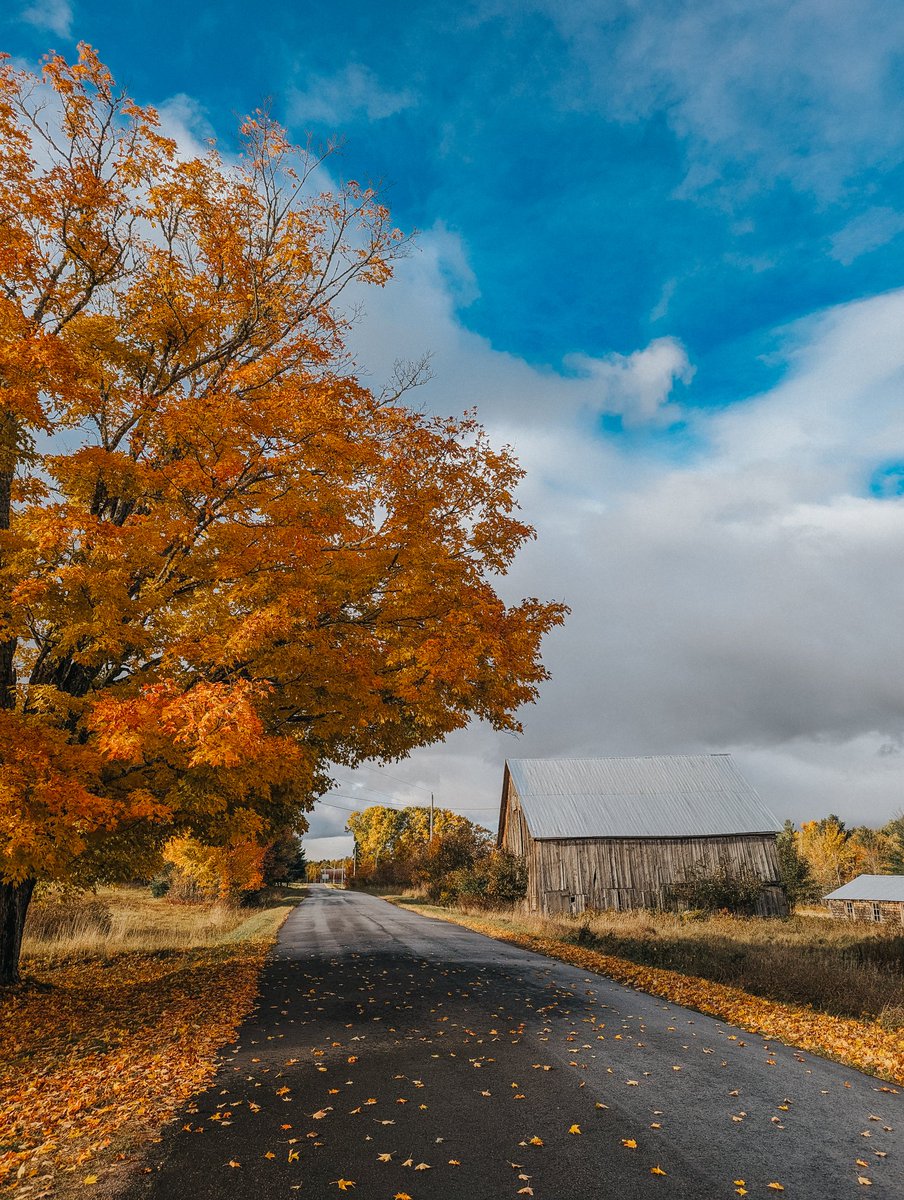 My road is pretty 😍