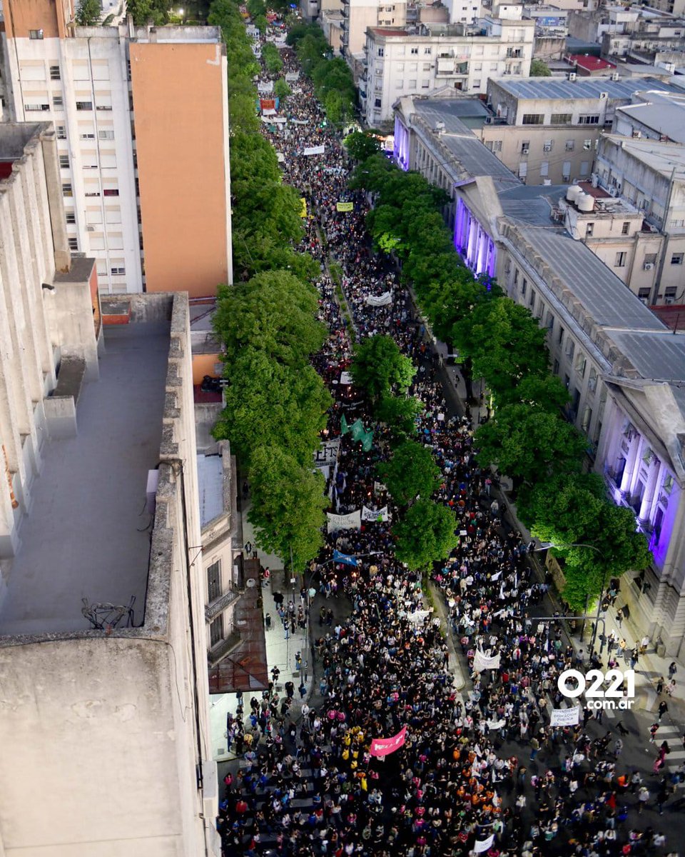 heliotropos_'s tweet photo. Creo que en La Plata marchamos unos pares https://t.co/gIQTEzHvg3