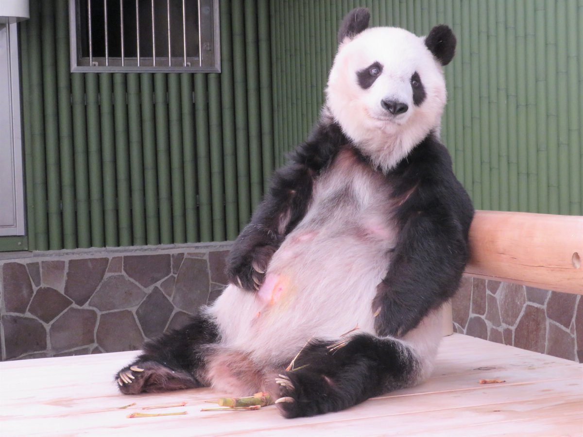 さと♡パンダ (@SatoK28) / Posts / X