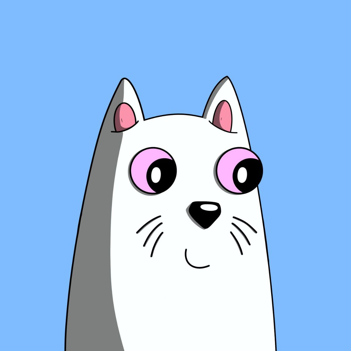 DREW the cat✏️ tweet media