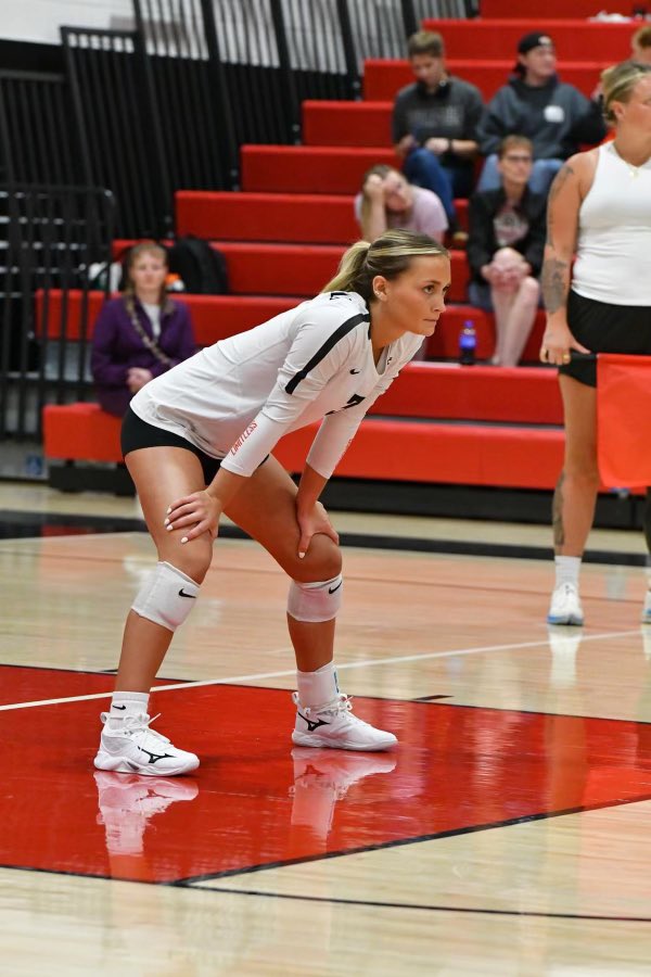 Cannon Falls Volleyball 🏐 tweet media