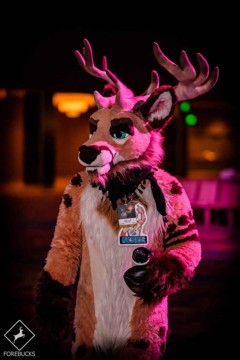 Aksel ➡️ NFC, VF tweet media