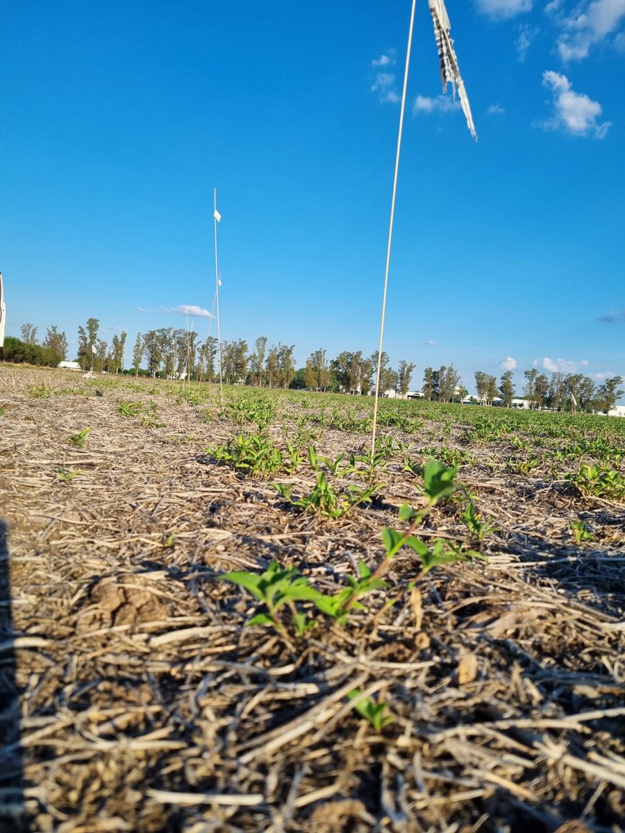 AgroTester I&D tweet media