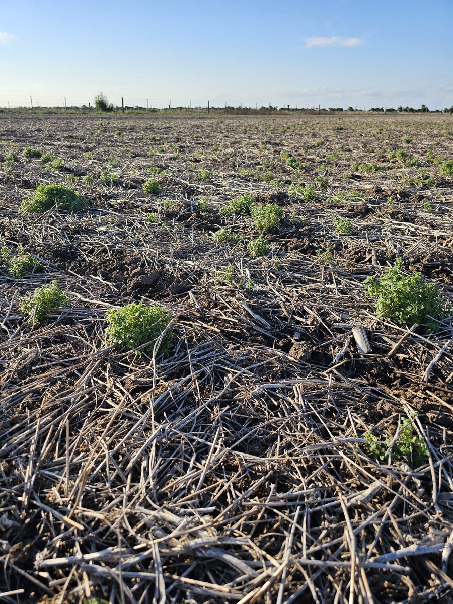 AgroTester I&D tweet media