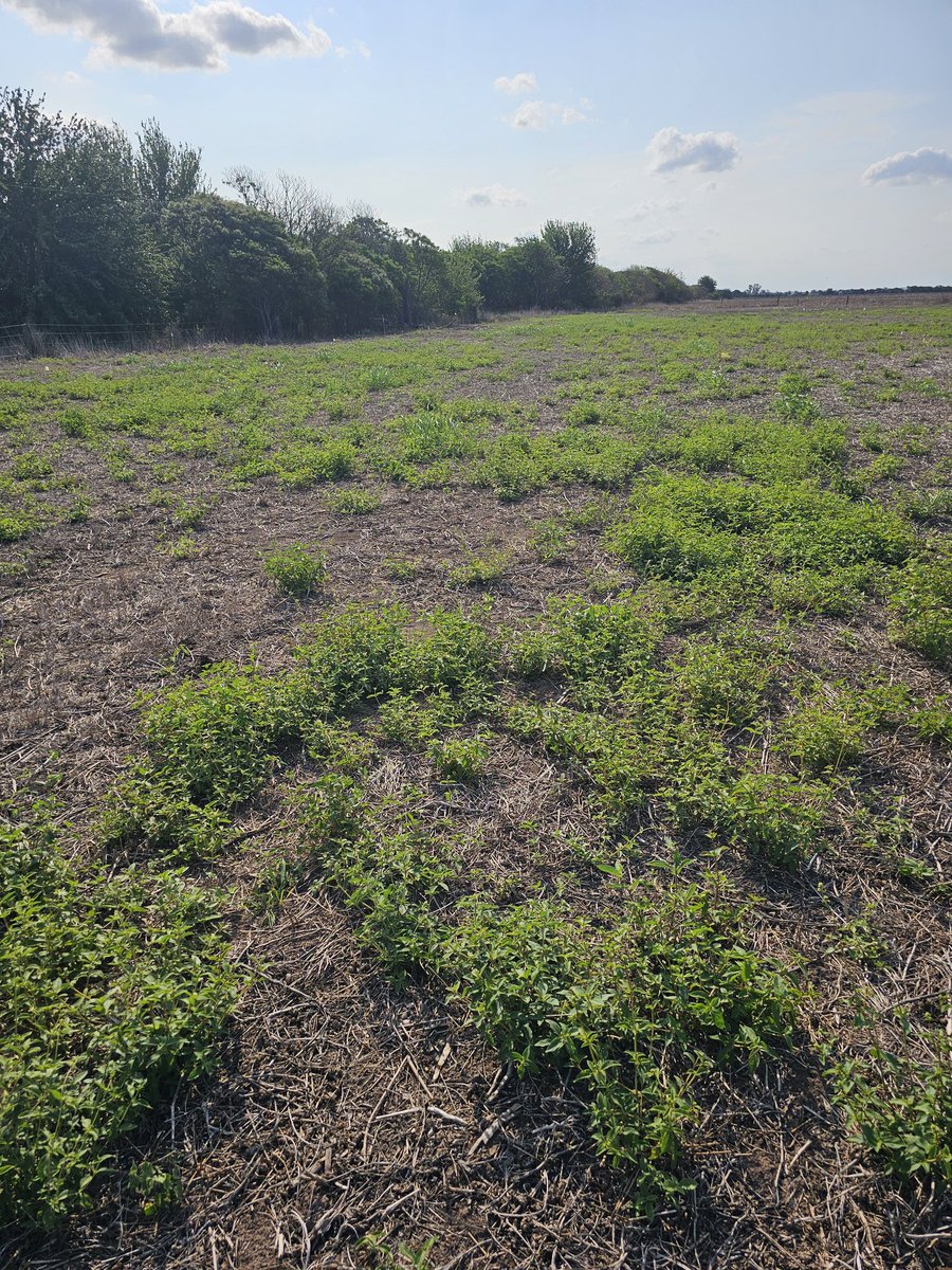 AgroTester I&D tweet media