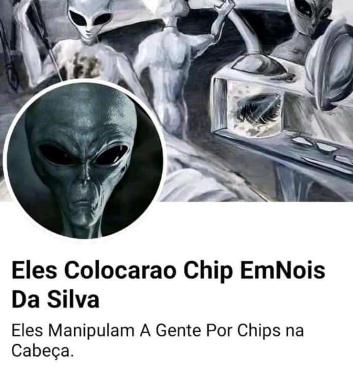 shitpostverdade's tweet image. 