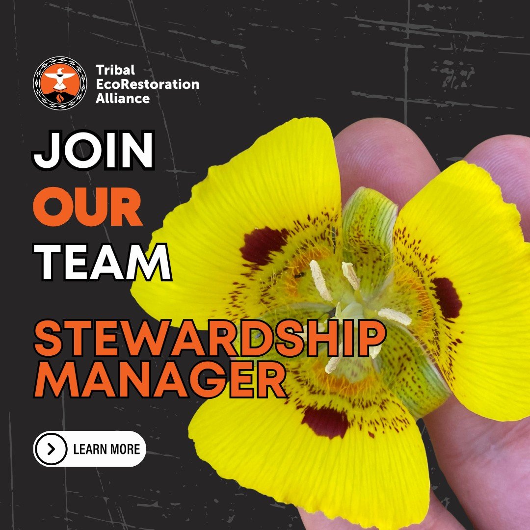 📣We’re actively recruiting for our Stewardship Manager position which will help oversee EcoCultural Stewardship projects including:
🌱Grant Management
🌱Environmental Review
🌱Implementation
🌱Monitoring
🌱Reporting