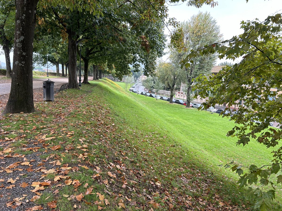 ConoscereLucca's tweet photo. #lucca - Il verde delle Mura urbane in una piovosa giornata di autunno- fdr #tuscany #luccainfoeguide #luccasummerfestival #luccasummerfestival2024 #ig_tuscany_ #igitaly #tuscanyitaly #follow #sun #mountains #cloudy #naturelovers #umbrella #rainydays #green #cloudy #autumn https://t.co/dYQGhTbK2D