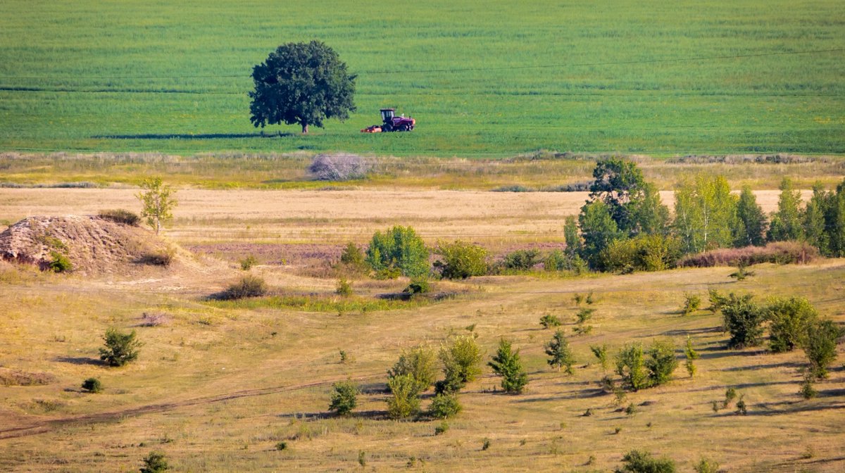 Melchenkov tweet media