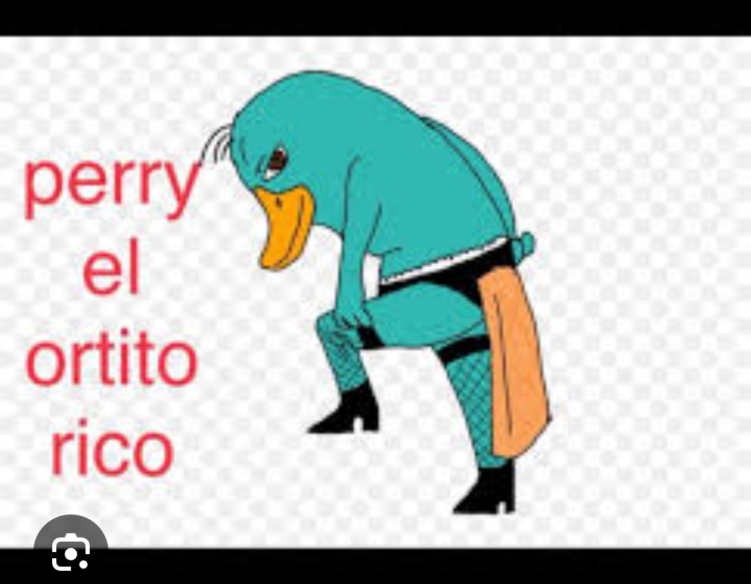sfluxy1's tweet photo. @blue02spring Vamos cerrando el orto https://t.co/uGpkWbRakx