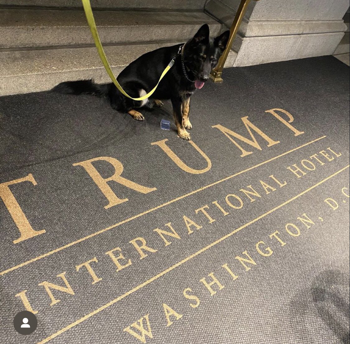 There you are my cutie ☺️