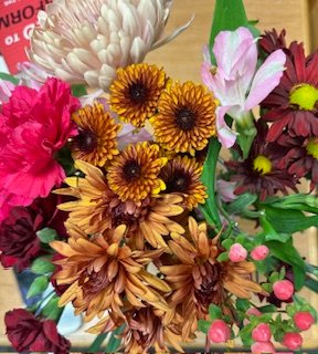 DVUSD Pathways tweet media