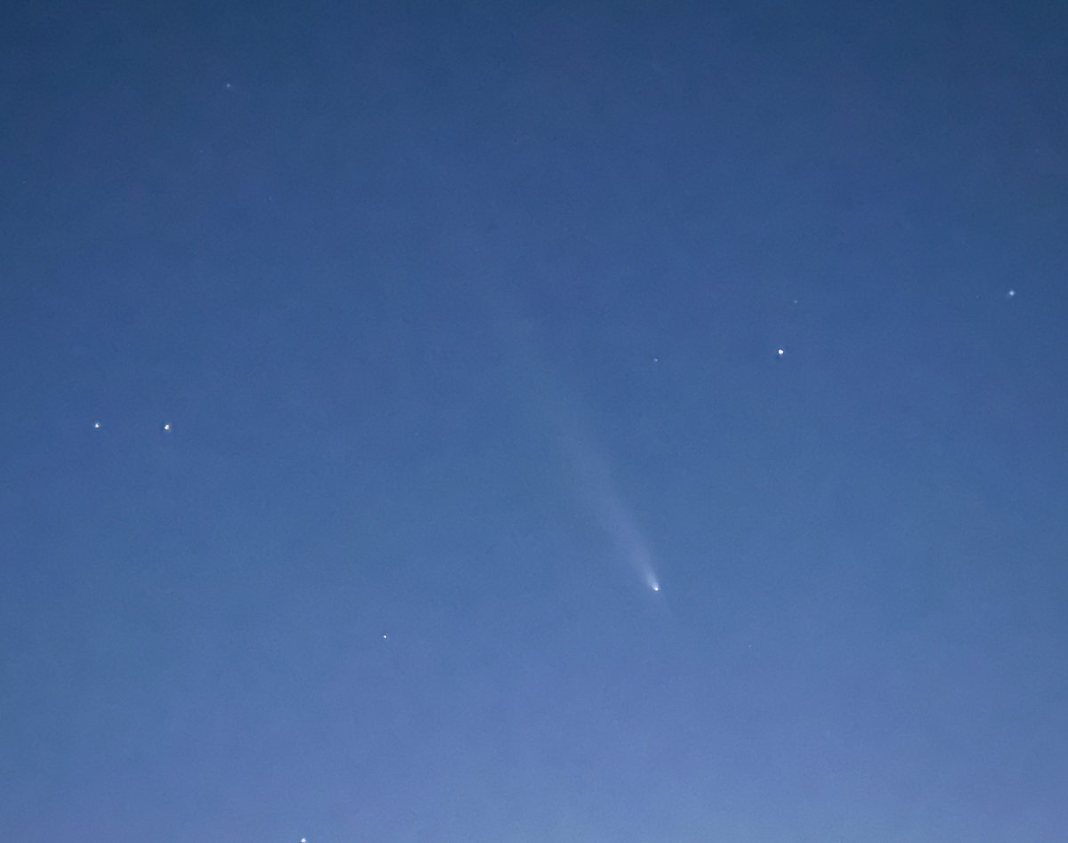 Caught a glimpse of #CometA3 while walking the dog tonight.