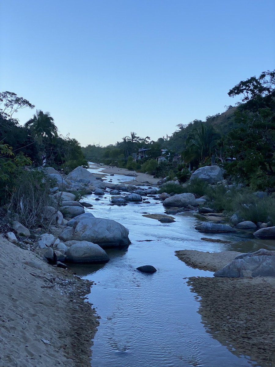 our_decay's tweet photo. Most of my followers weren’t here for my “Jungle Era,” so to bring you up to speed: my father died last year and left me the home of my birth: a shack in the jungles of Mexico, no walls, lots of scorpions. I lived there for six months, alone and depressed in a beautiful place… https://t.co/jy7OMOH1OQ