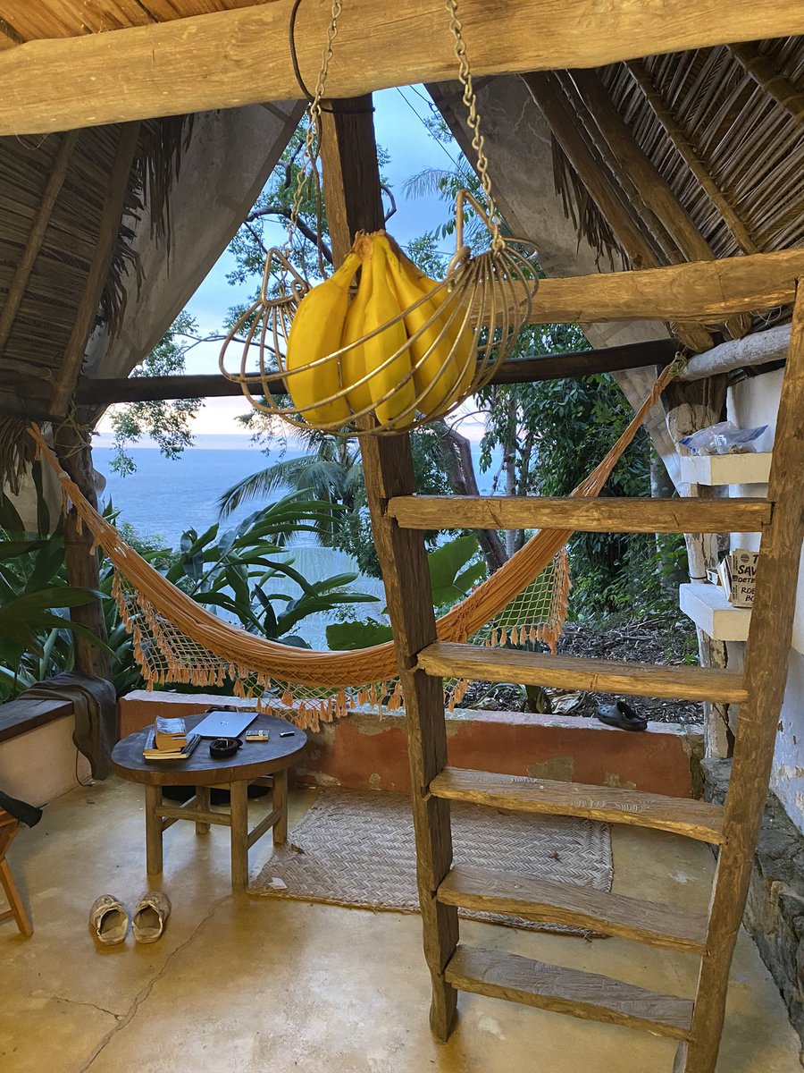 our_decay's tweet photo. Most of my followers weren’t here for my “Jungle Era,” so to bring you up to speed: my father died last year and left me the home of my birth: a shack in the jungles of Mexico, no walls, lots of scorpions. I lived there for six months, alone and depressed in a beautiful place… https://t.co/jy7OMOH1OQ