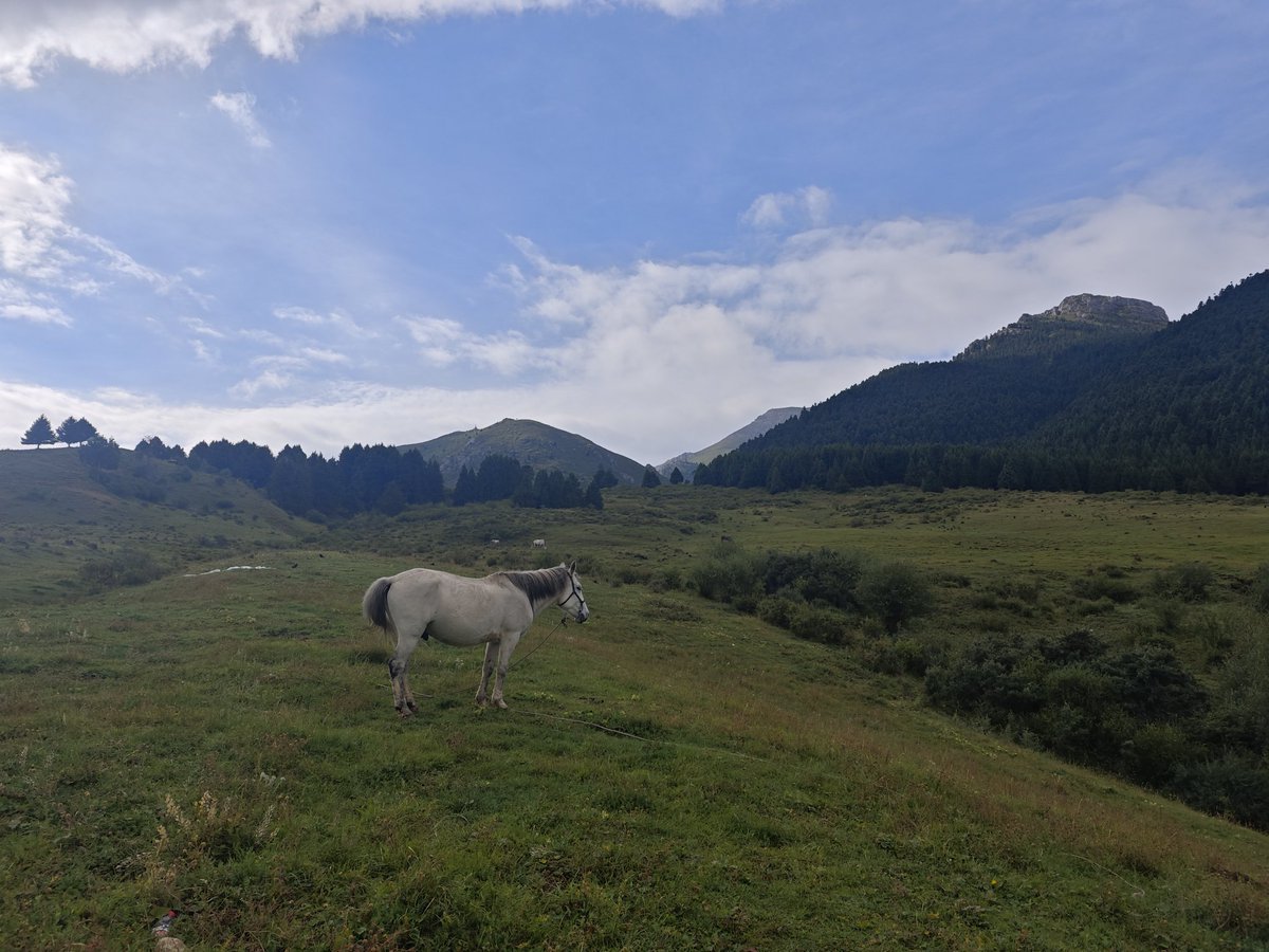 星空免费下载推荐-n9n9.co-.htm\, image size:1200x900