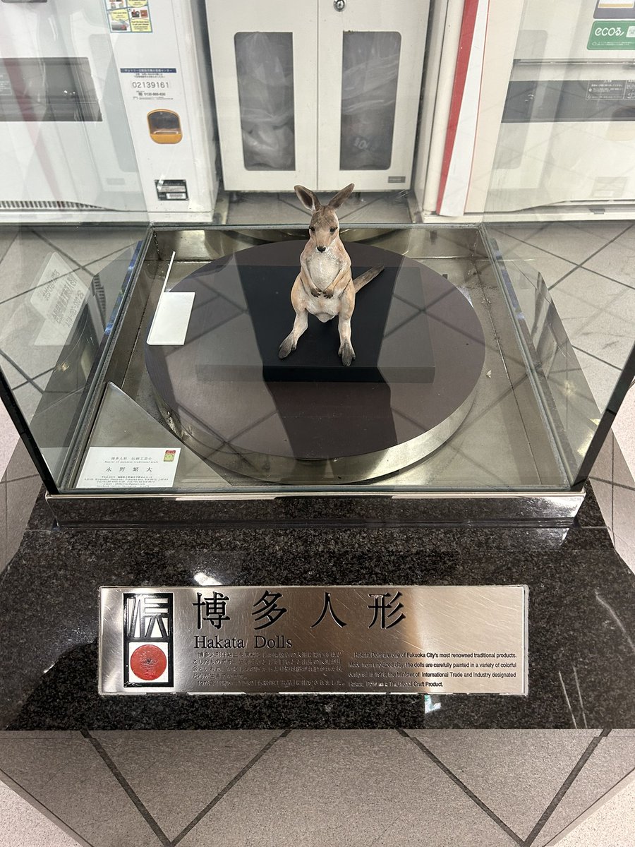 wakamiyaryu's tweet photo. え⁈カンガルー🦘これも博多人形なんだ。
#博多人形　#若宮かしょう　#若宮流　#若宮香曻　#福岡講習会　#若宮流日本舞踊 https://t.co/rNSdFsL2dq