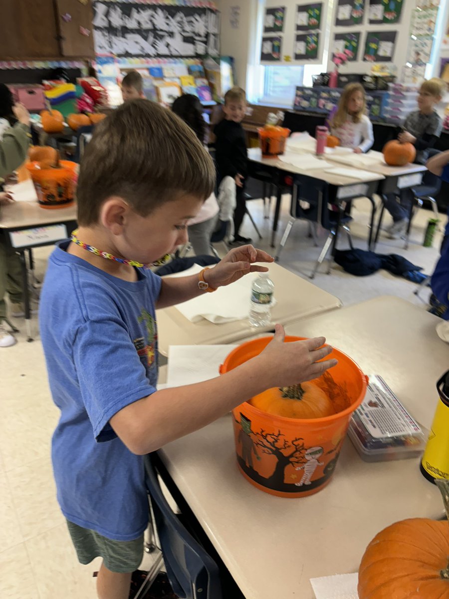 Shannon O'Shea tweet media