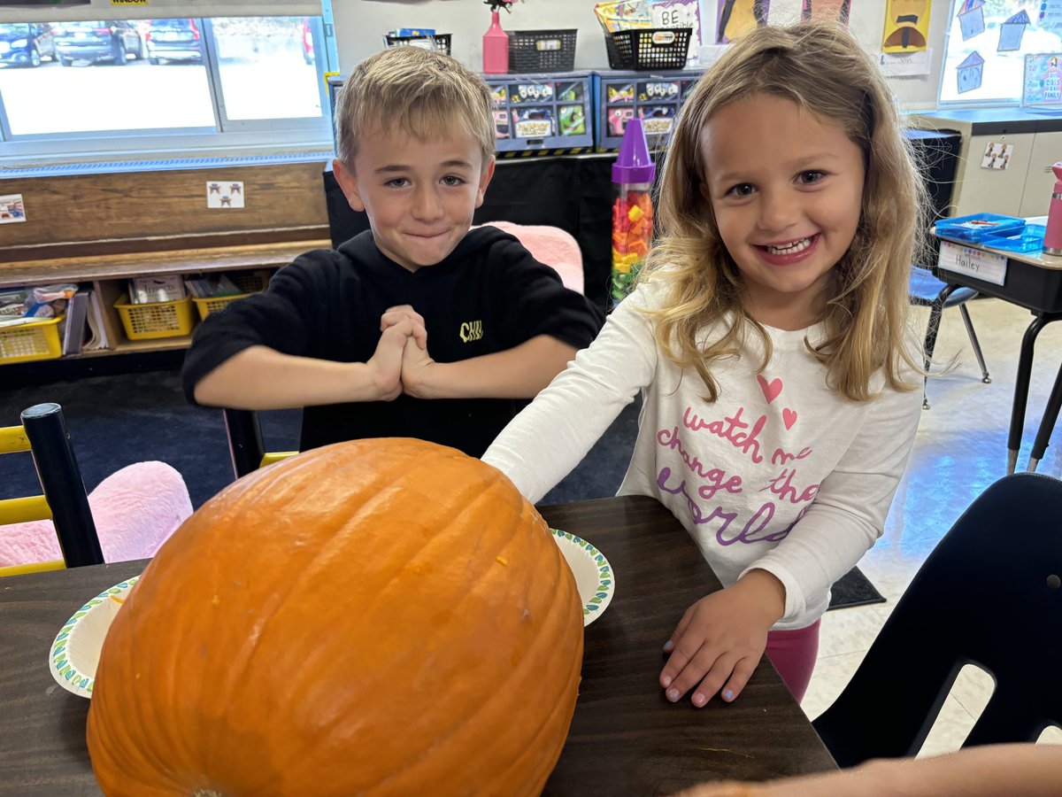 Shannon O'Shea tweet media