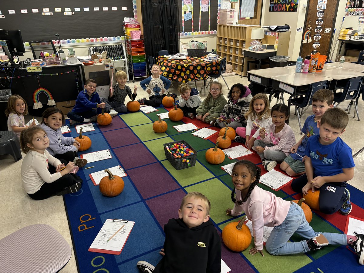 Shannon O'Shea tweet media