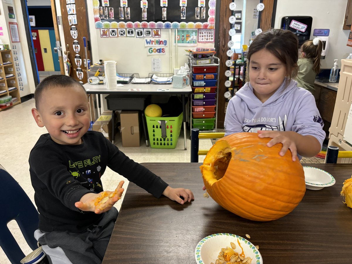 Shannon O'Shea tweet media