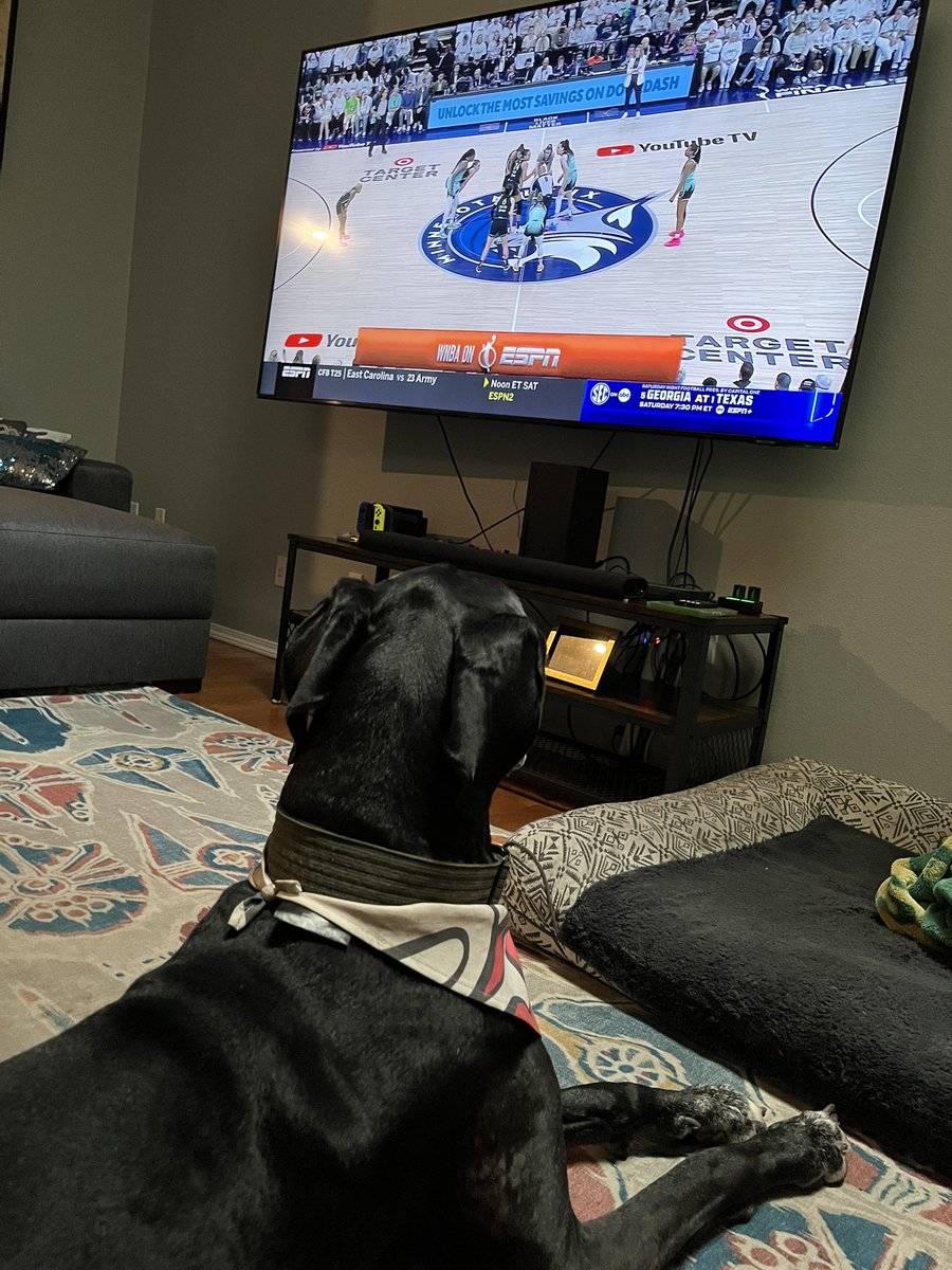 olygeeks tweet media