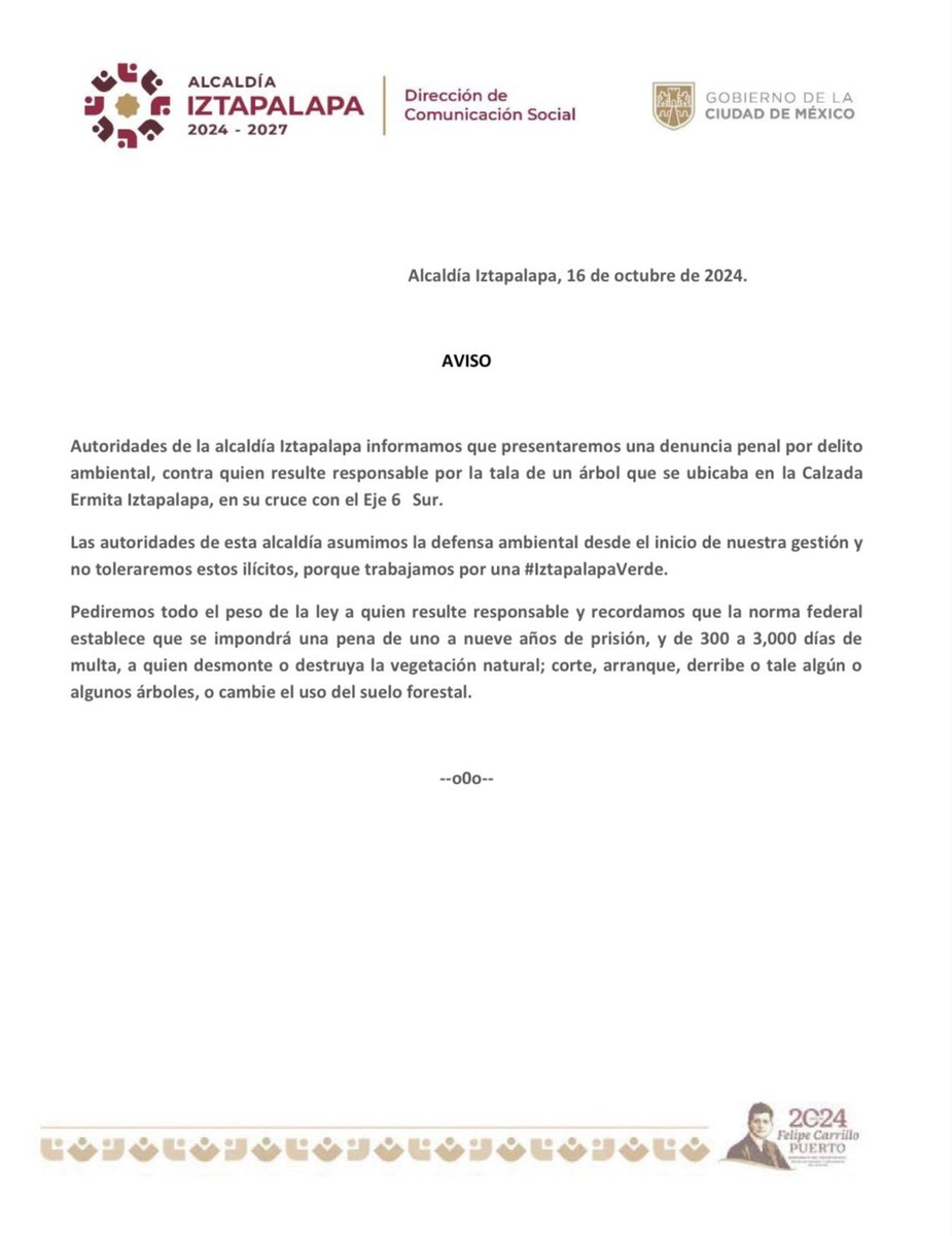 🌳 Referente al árbol talado en la Calzada Ermita: