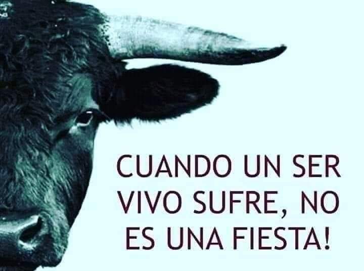 Y tampoco es Arte 🙅‍♀️
#Abolición