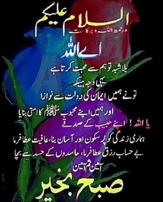 Sajid Malik tweet media