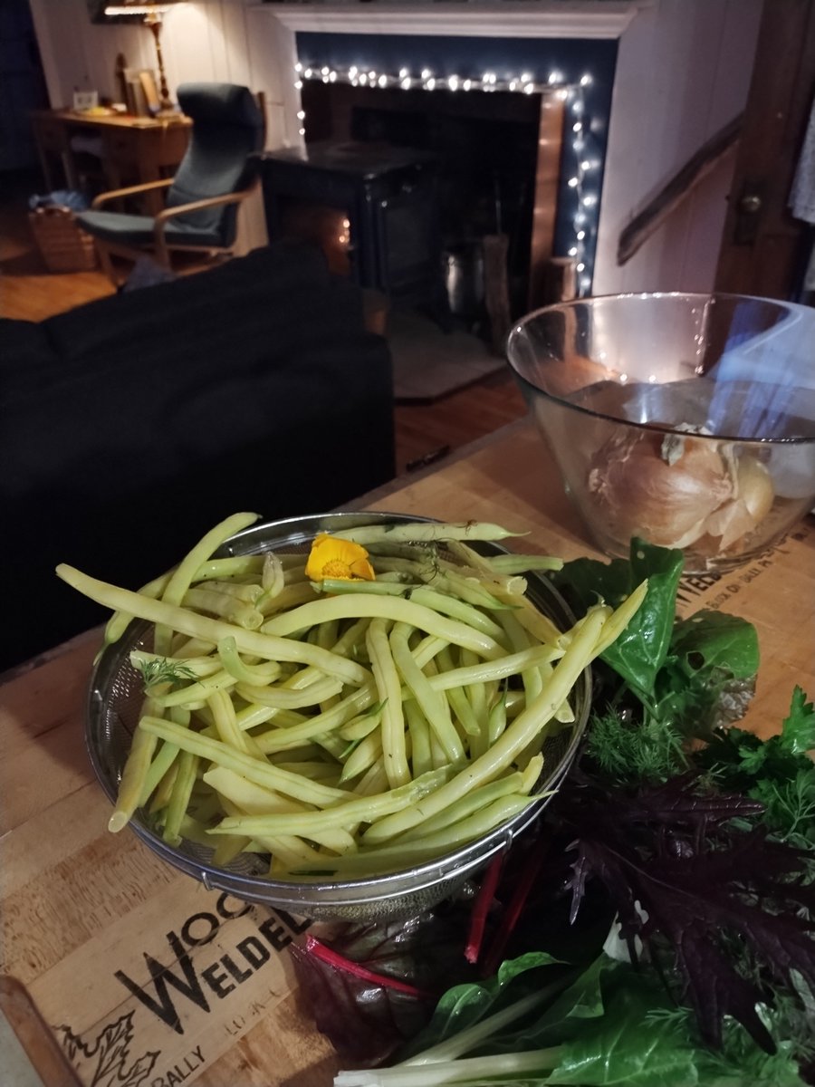 Abigail Carroll tweet media