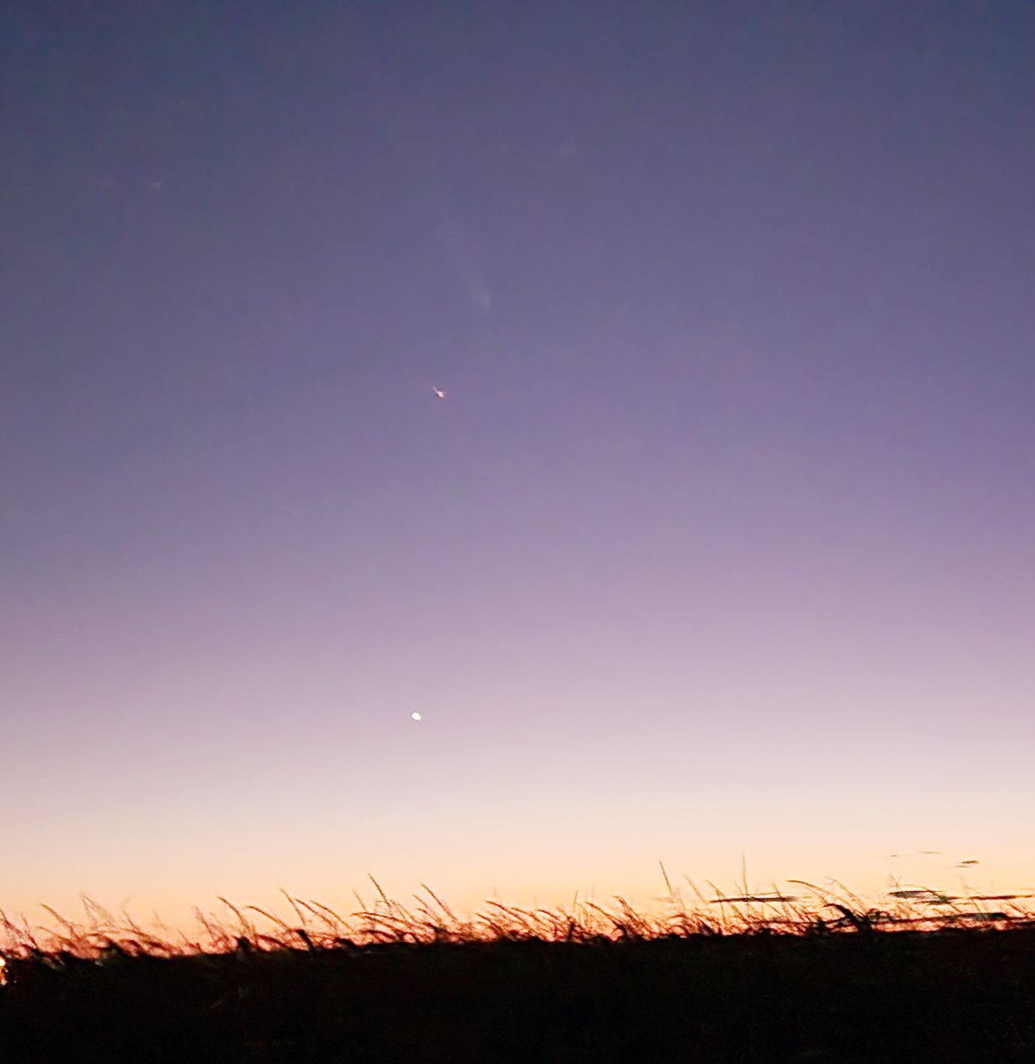 wt360's tweet photo. It's been quite a year! April 100% Solar Eclipse, at least 5 Aurora events May - Oct, &amp; now Comet Atlas supposedly a once in 80,000 yr event.
Our photos aren't that great, but if you look to the Southwest after sunset &amp; to the right of Venus you can see the comet w/the naked eye. https://t.co/KQu14gctZa