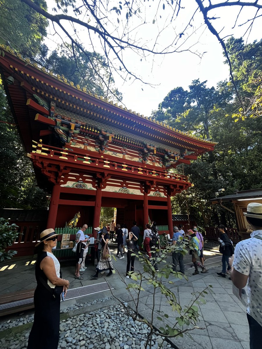 lagabyariass's tweet photo. Japón que bonito eres. https://t.co/nHihSS6Mg6